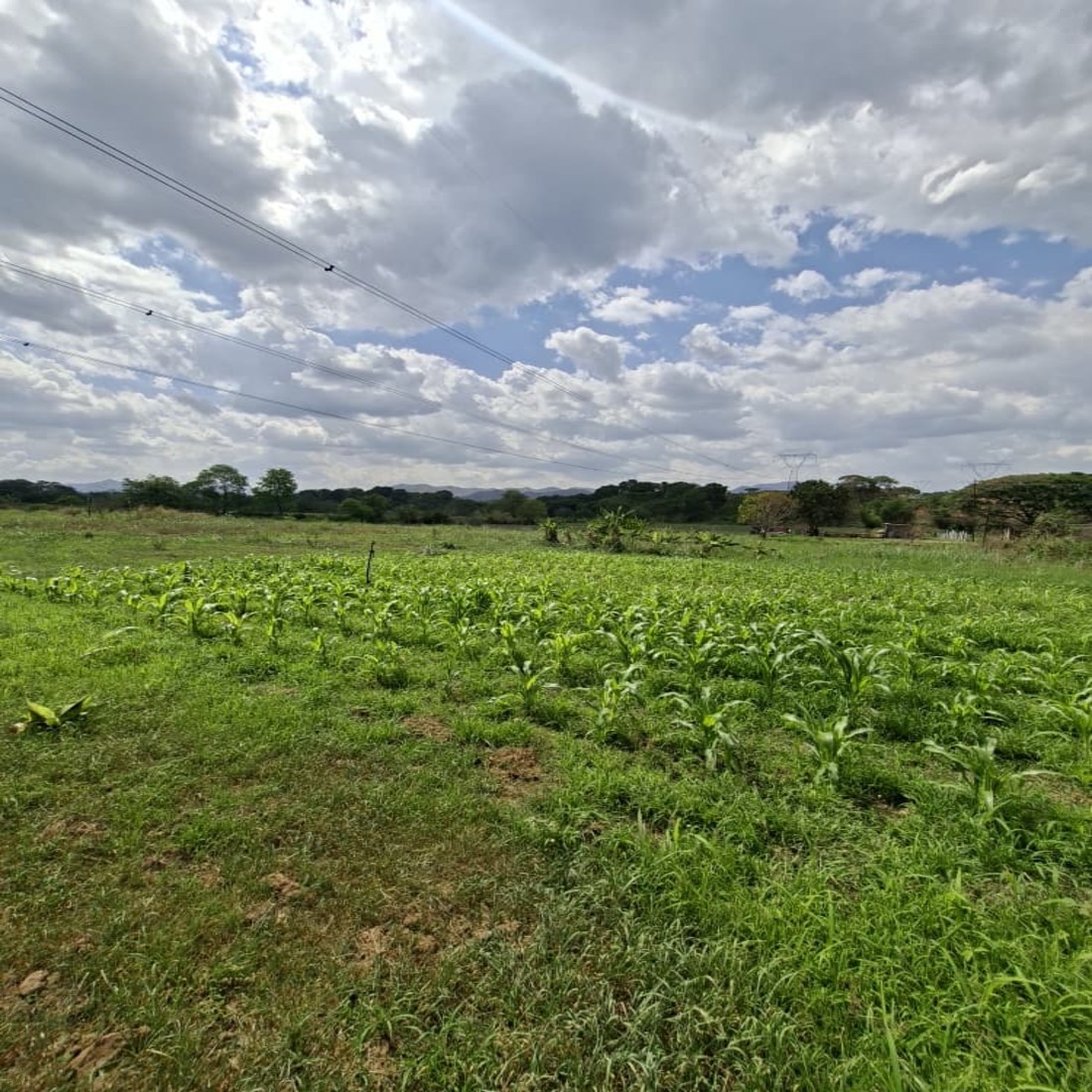 latest property