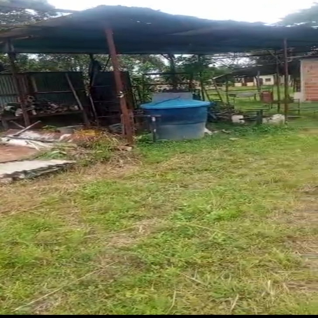 latest property
