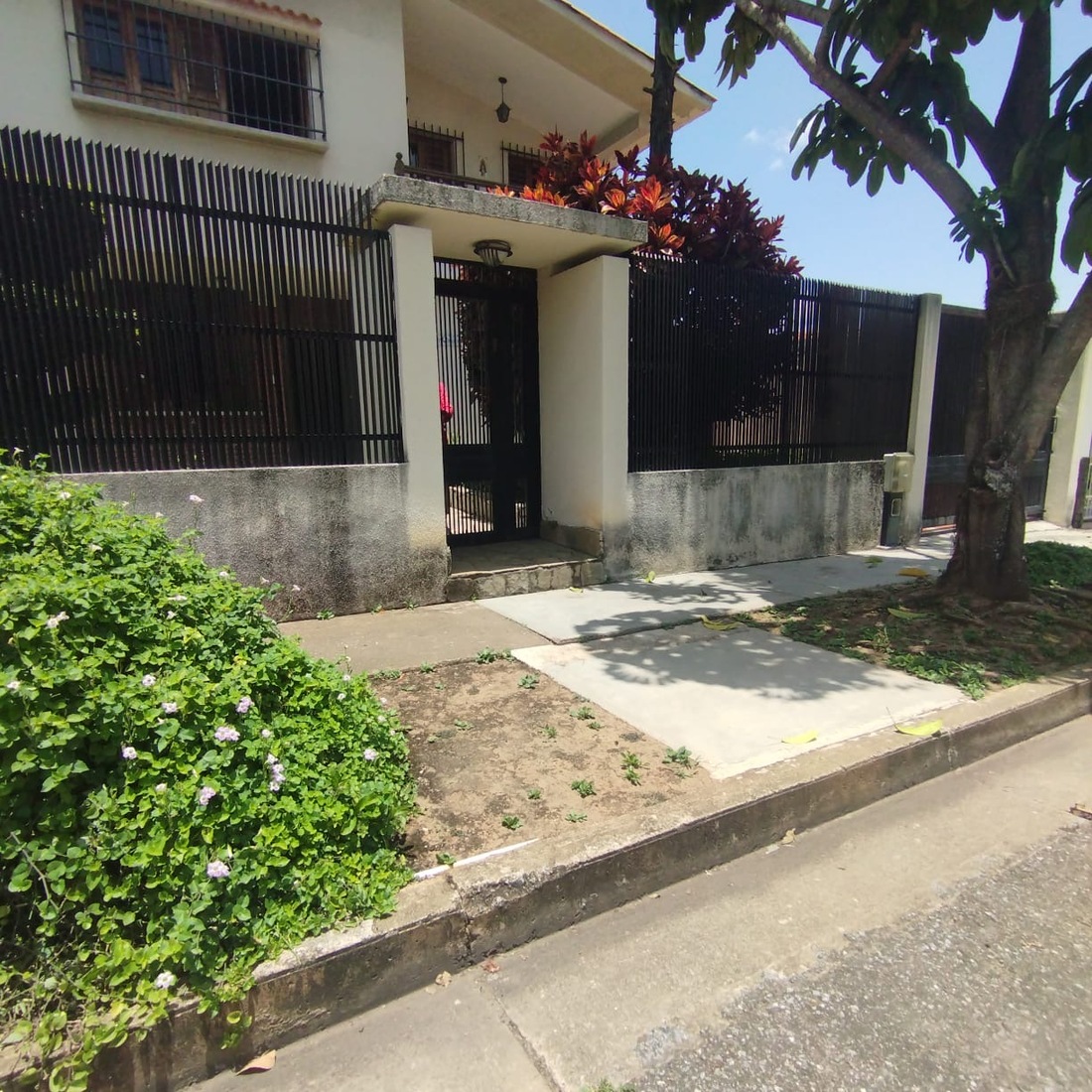 latest property