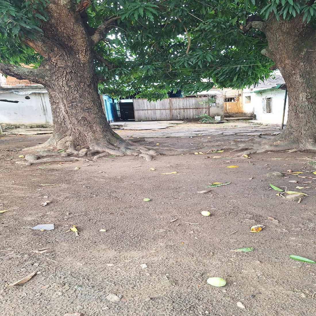 latest property