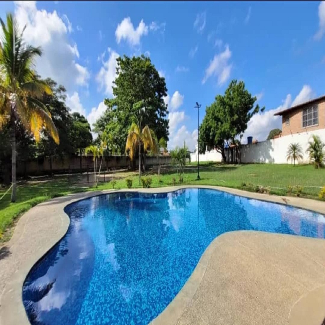 latest property