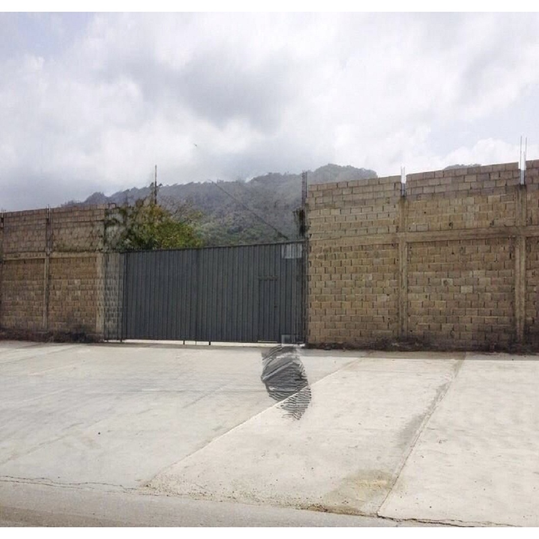 latest property