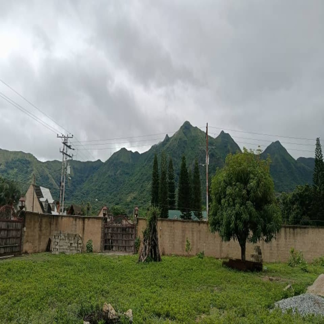 latest property