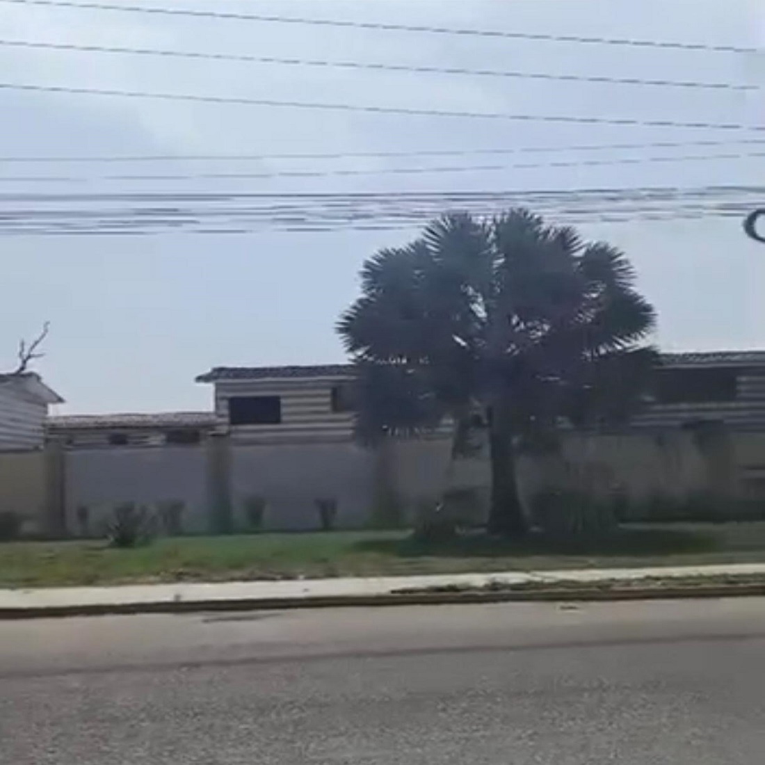 latest property