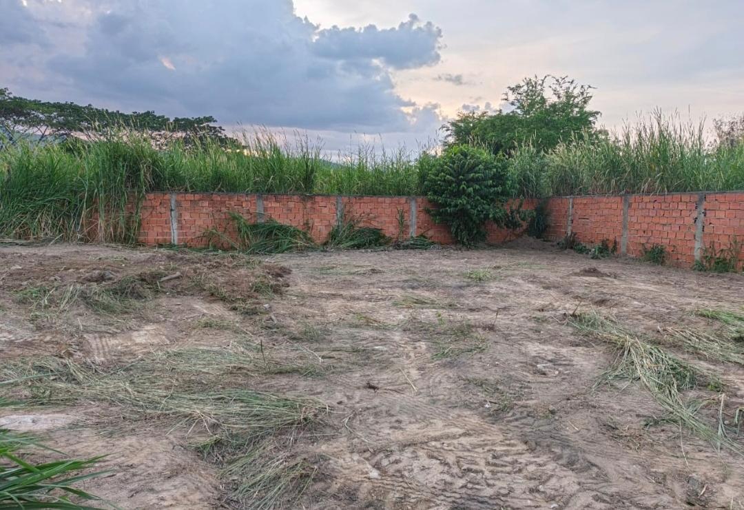 latest property