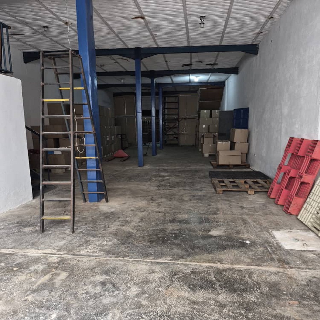 latest property